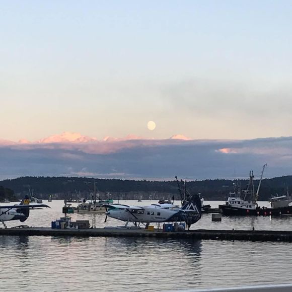 Meet your Posher, Amalia - Picture 1 of 1